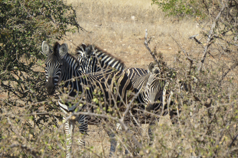 Hwange National Park & Victoria Falls 4-Day Safari Tour