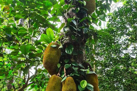 Spice Farm, Stone Town, Prison & Nakupenda+pick up+entry fee