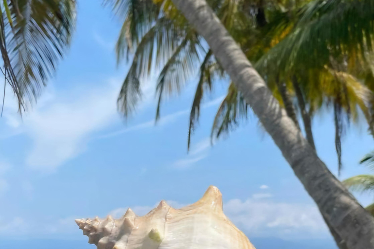 San Blas Secrets : à la découverte du paradis des CaraïbesSan Blas Secrets_ À la découverte du paradis caribéen