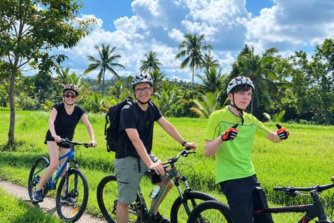 Ubud: Village Cycling, Stone Carver, Balinese Homemade Lunch