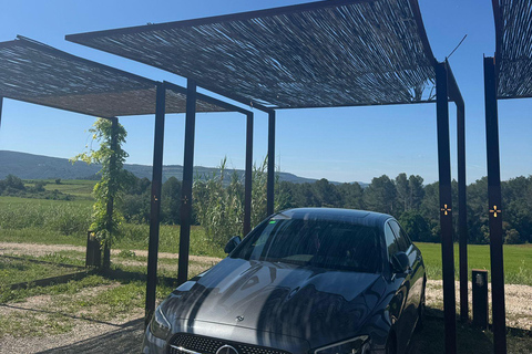 Barcelone : visite citadine privée de GéroneBarcelone : Excursion Privée d&#039;une Journée à Gérone et Besalú