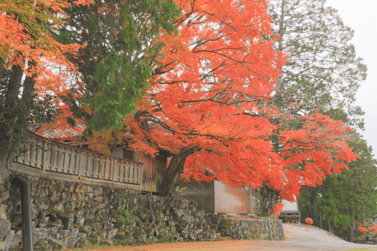 Nagoya: Inuyama Castle, Magome-juku, &amp; Tsumago-juku Tour