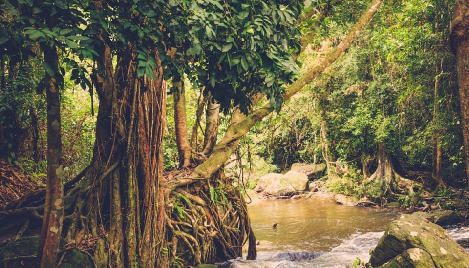 Phnom Kulen National Park, 6 ore di tour di una giornata intera - Hizvo