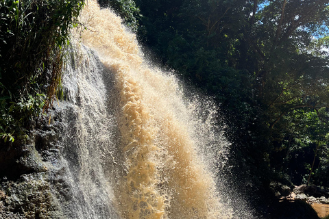 San Juan - Arecibo : expédition dans le Midwest, chutes d'eau et plage