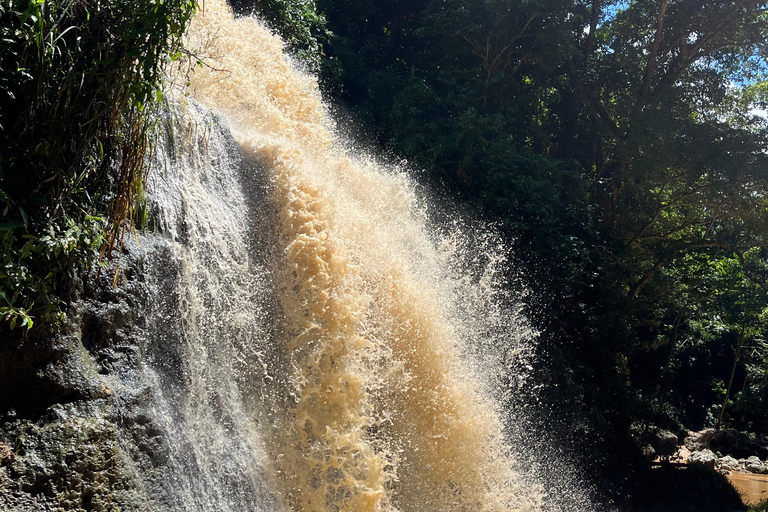 San Juan - Arecibo : expédition dans le Midwest, chutes d'eau et plage