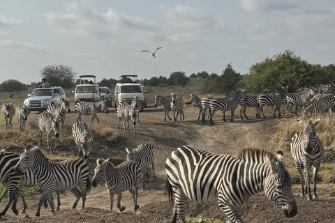 Nairobi Park Safari, Sheldrick's Orphanage & Giraffe Center Shared Drive in Open-Roof Van Game Drive
