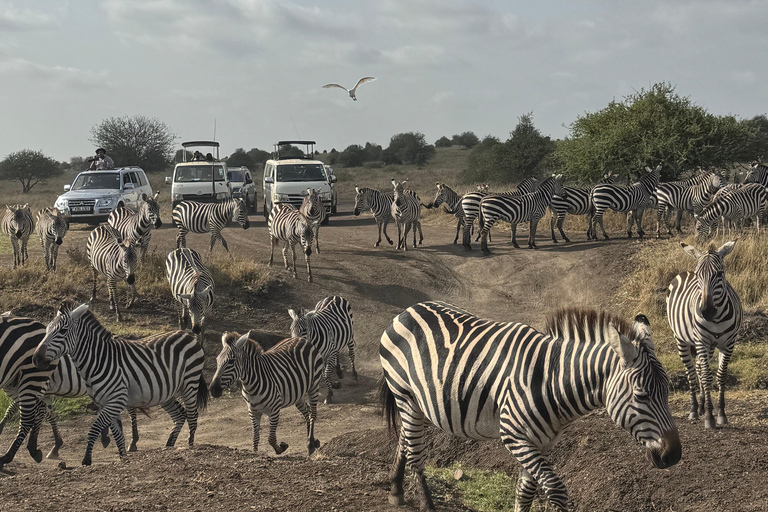 Nairobi Park Safari, Sheldrick's Orphanage & Giraffe Center Shared Drive in Open-Roof Van Game Drive