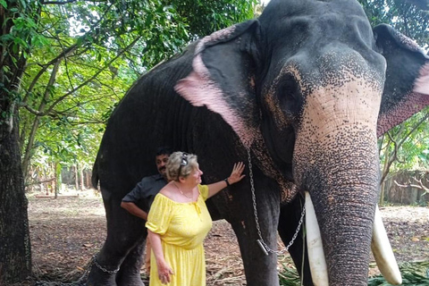 فورت كوتشي: جولات توك توك كوتشي - بأسعار مناسبة