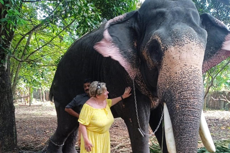 فورت كوتشي: جولات توك توك كوتشي - بأسعار مناسبة