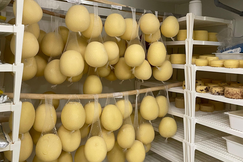 Pisa: Kaas maken en proeven met een kleine groep