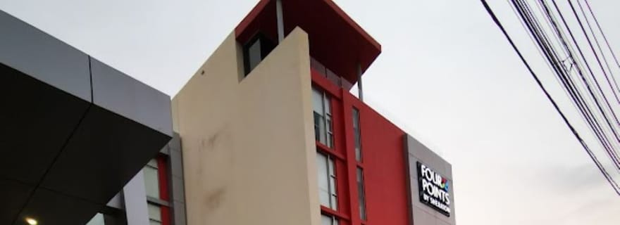 Depuis Chetumal/Bacalar : Transfert aller simple vers Playa del Carmen