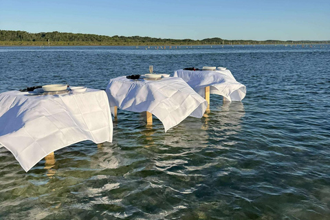 Moreton Bay: Oyster Farm Tour, Boat, Shucking & Tasting