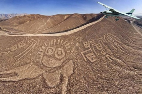 Nazca : 60 min de survol 21 figures de Nazca et Palpa + transferts inclus
