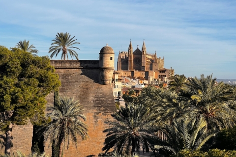 Palma de Mallorca: tour casco antiguo y tapas por la nocheTour privado