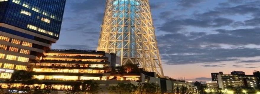 Shizuoka : visite privée des trésors cachés de Tokyo avec guide