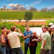 Melbourne: Full-Day Yarra Valley Wine Experience with Lunch