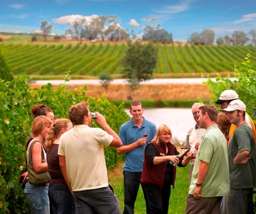 Melbourne: Experiência vinícola de dia inteiro em Yarra Valley com almoço