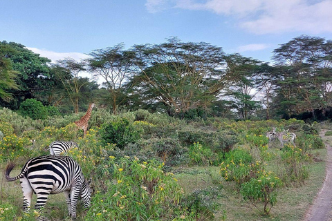 Nairobi: Hell's Gate National Park and Lake Naivasha Tour