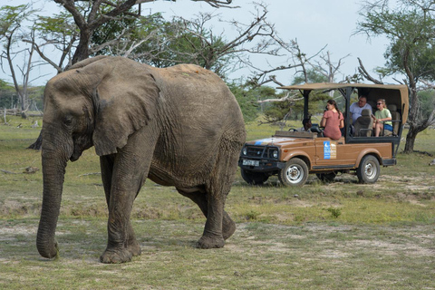 Depuis Zanzibar : Safari de nuit dans le Selous G.R. avec volssafari partagé