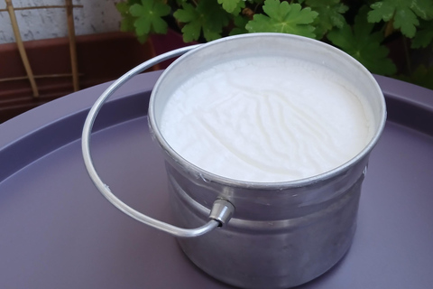 Sofia: Taste Bulgarian Kiselo Mlyako Yogurt in a Family Home