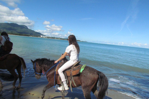 Puerto Plata: Horseback Tour of the Beach and Local Community