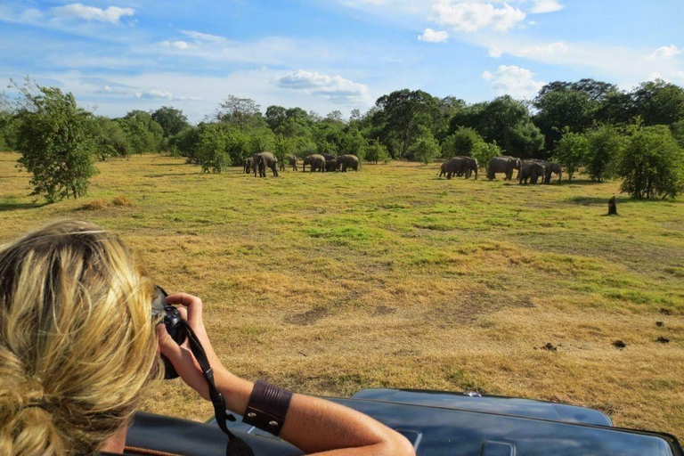 Sigiriya: Minneriya Safari, Yapahuwa Rock & Colombo Drop-off Sigiriya: Minneriya Safari, Yapahuwa Rock & Negombo Drop-off