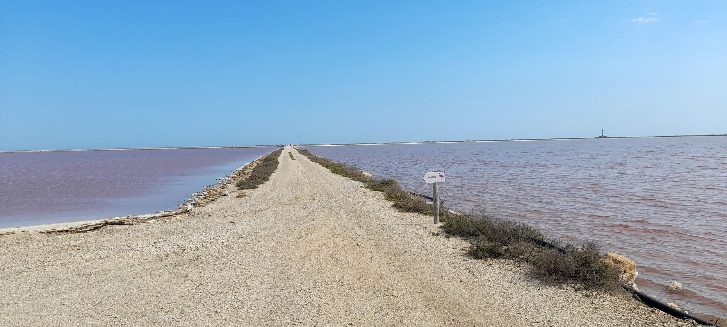 Camargue: Elektro-4x4-Safari SALZSEEN + Verkostung – Abfahrt ARLES