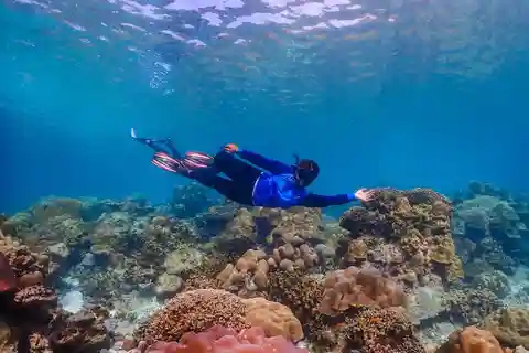 Khao Lak : Excursion premium aux îles Surin avec plongée en apnée et déjeuner