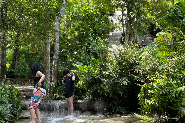 Visite d'une demi-journée de la cascade de Sticky avec voiture privéeVisite d'une demi-journée Sticky Waterfall avec voiture privée