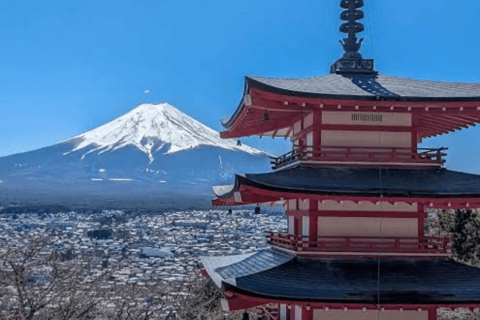From Tokyo : Mount Fuji Private Tour With English Guide