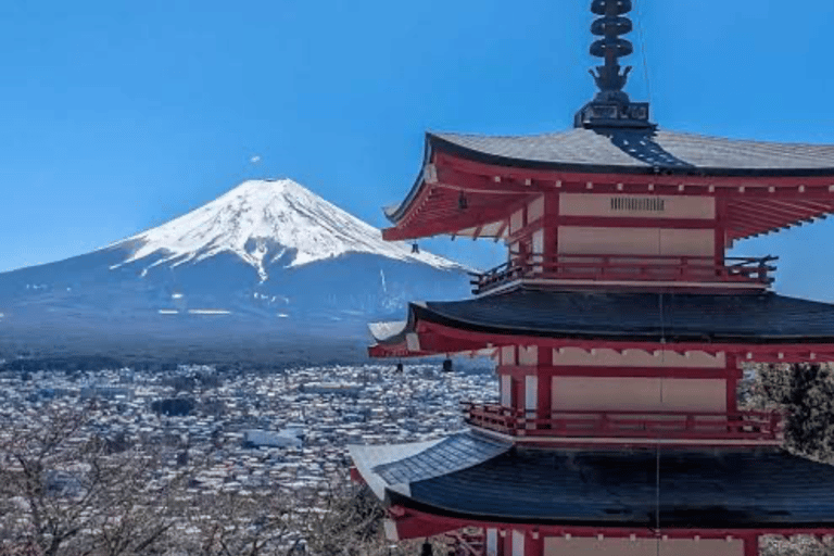 From Tokyo : Mount Fuji Private Tour With English Guide