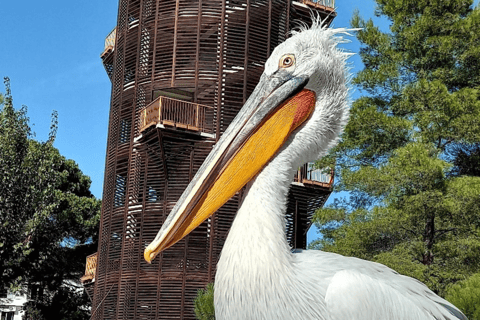 Von Golem/Durres:Divjaka und Karavasta Lagune Jeep Safari