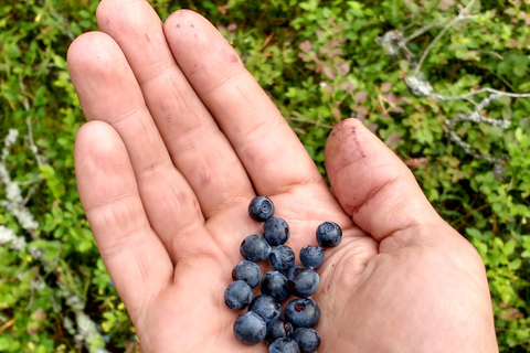 Stockholm Archipelago Hike with Boat Ride, Beach & Fika