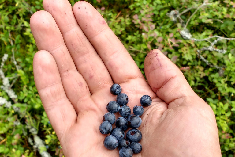 Stockholm Archipelago Hike with Boat Ride, Beach & Fika