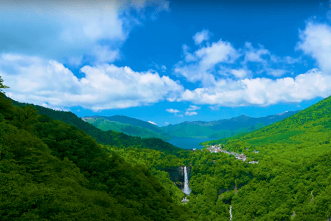 De Tóquio: Passeio turístico particular a Nikko com traslados