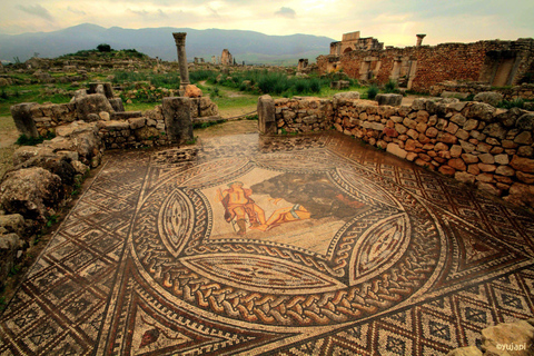 Transfer z Fes do Tangeru przez Volubilis i Chefchaouen