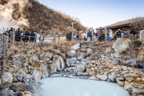 From Tokyo: Mount Fuji Full Day Customizable Private Tour