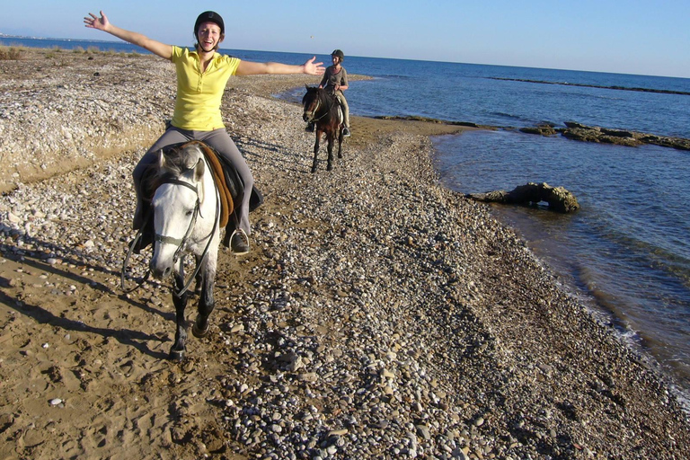 Horseback riding through dunes and pine forests to the beach in Side Horseback riding through dunes and pine forests to Side Beach