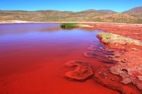 Excursión de 5 días a Uyuni y la Laguna Roja