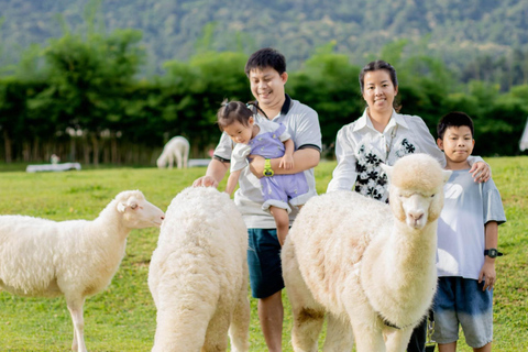 Chiang Mai: Mon Jam Flower Hills, Alpaca Cafe & Dantewada