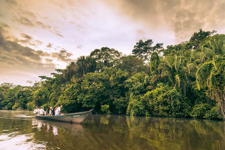Sunset tour in the Jungle and Encounter with Capybaras