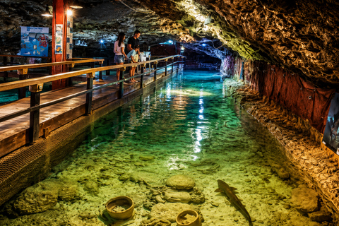 Ibiza Family Day: Treetop Adventure, Aquarium & Water Park