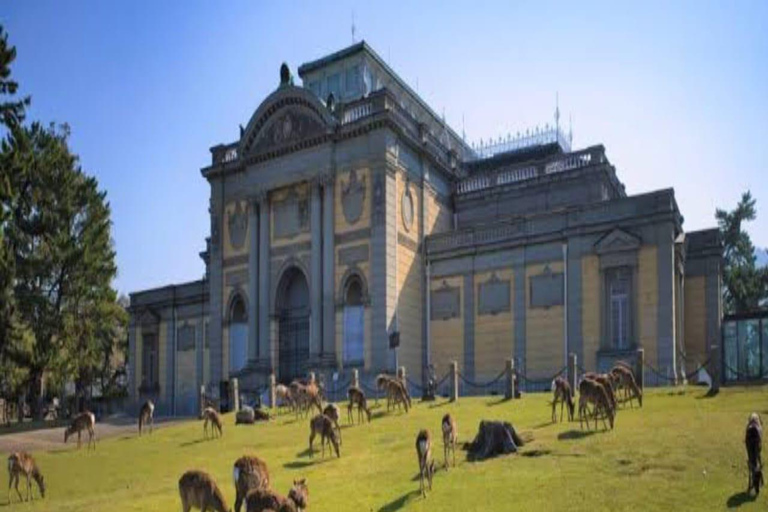 大阪/京都：京都和奈良私人定制一日旅行