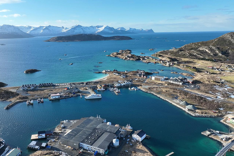 Tromsø Fjord Cruise - With a stop at Sommarøy Island
