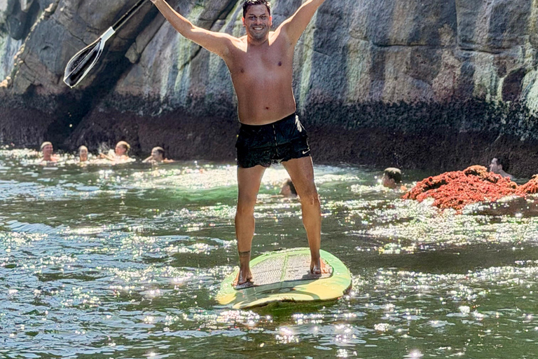 Exclusive Experience in Rio's Secret Paradise with Turtles and Stand-Up Paddleboarding
