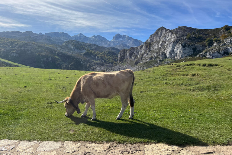 Visite privée Nord de l'Espagne 10 jours