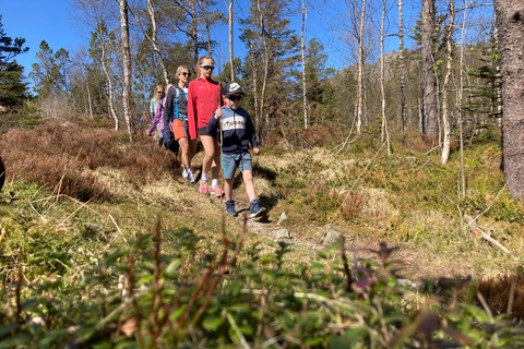 Bergen: Scenic Mountain Hike with Local Guide, Coffee&Snacks Bergen: Scenic Mountain Hike with LocalGuide, Coffee&Snacks