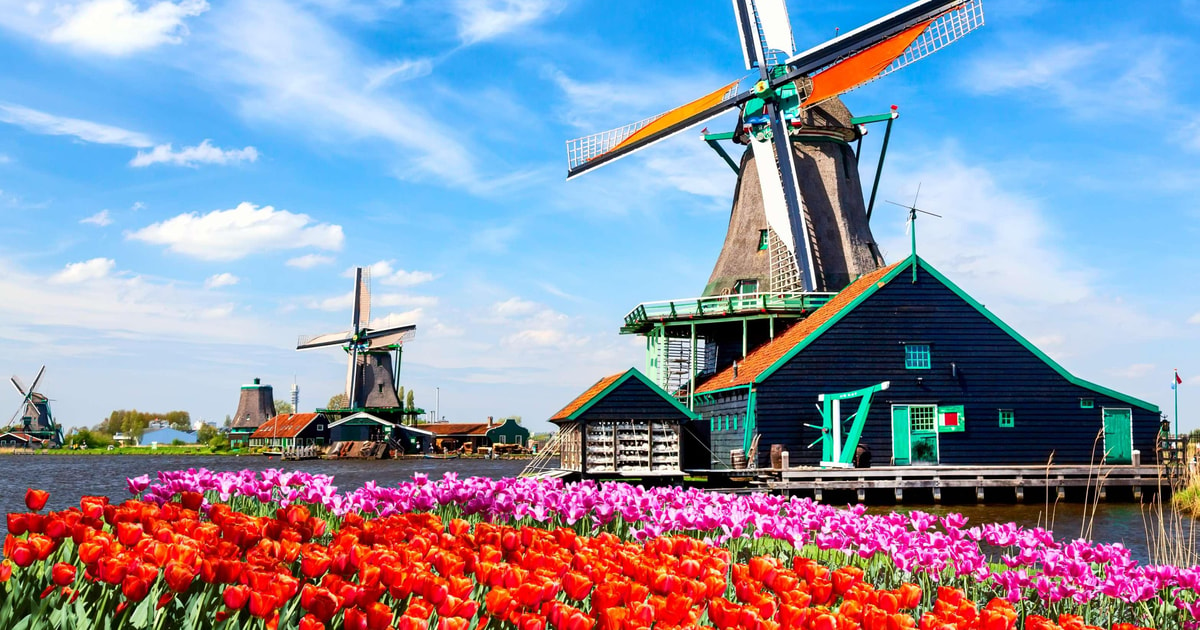 Amsterdam Naar De Windmolens Van De Zaanse Schans Volendam En Edam Met De Auto Getyourguide