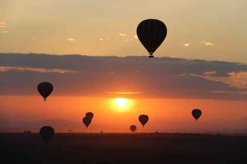 Kenia: Privater Safari Guide und 4x4 Fahrzeugvermietung