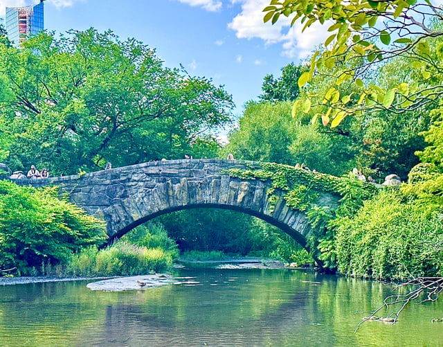 Ciudad de Nueva York: Solo en casa 2 y visita a Elfos en Central Park